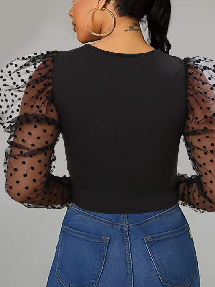 Puff Mesh Sleeve Elegant Top