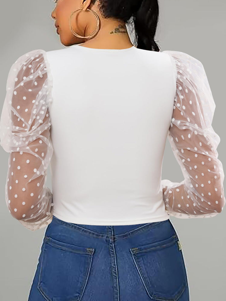 Puff Mesh Sleeve Elegant Top