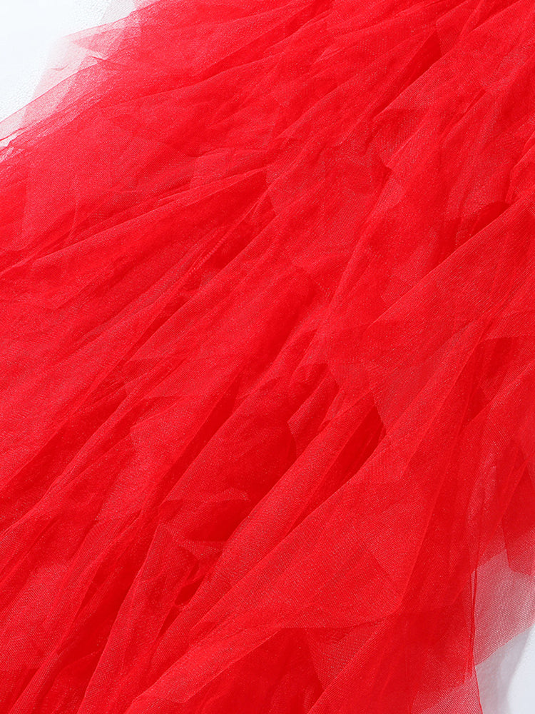 Lace Slit Tulle Dress - ECHOINE